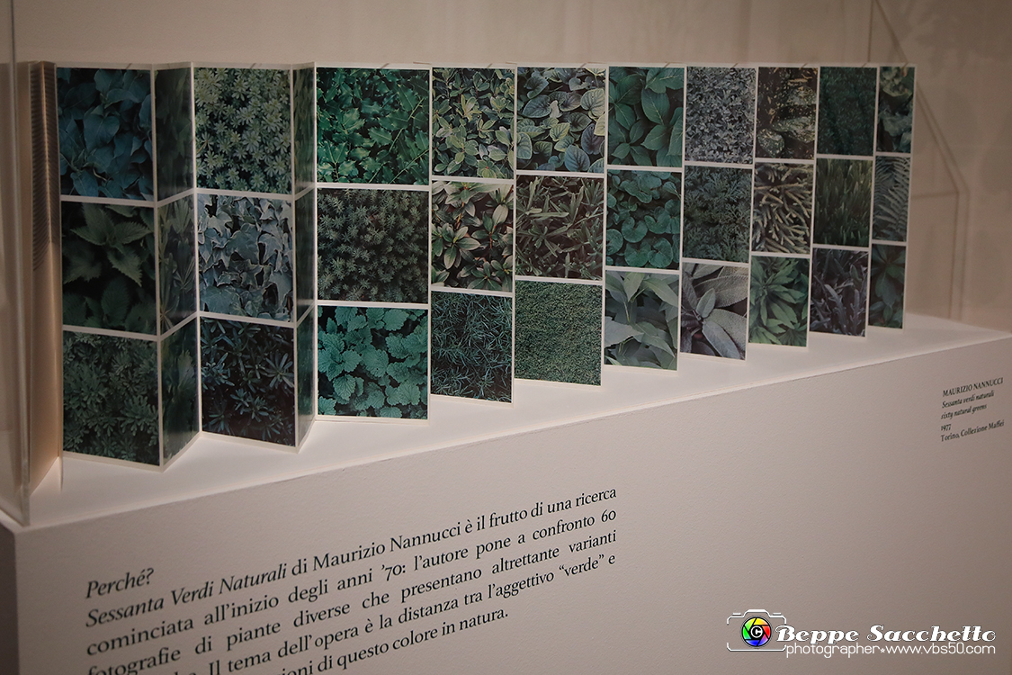 VBS_1319 - Castello di Miradolo - Mostra Oltre il giardino l'Abbecedario di paolo Pejrone.jpg
